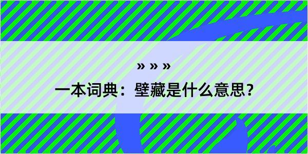 一本词典：壁藏是什么意思？