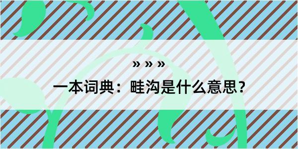 一本词典：畦沟是什么意思？