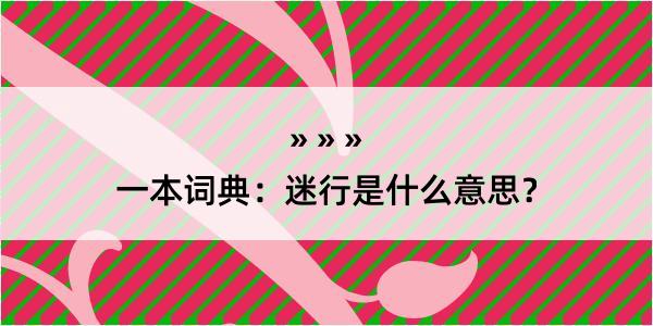 一本词典：迷行是什么意思？