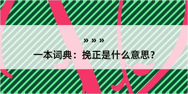 一本词典：挽正是什么意思？