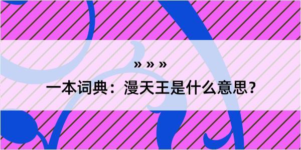 一本词典：漫天王是什么意思？