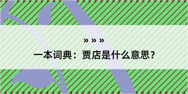 一本词典：贾店是什么意思？