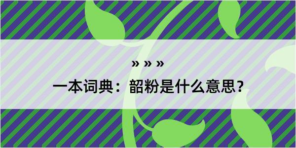 一本词典：韶粉是什么意思？