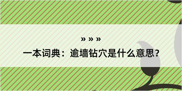 一本词典：逾墙钻穴是什么意思？