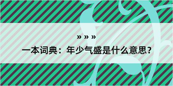 一本词典：年少气盛是什么意思？