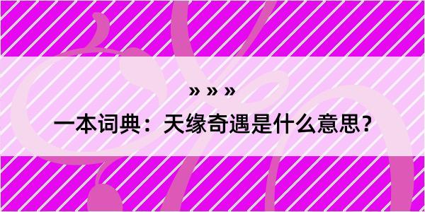 一本词典：天缘奇遇是什么意思？