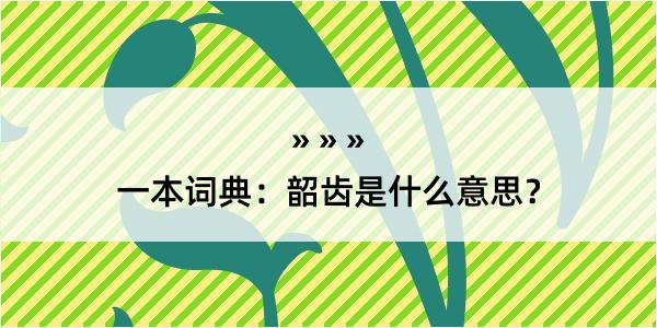 一本词典：韶齿是什么意思？