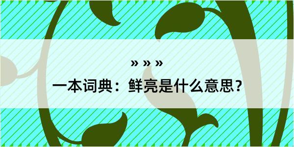 一本词典：鲜亮是什么意思？