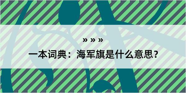 一本词典：海军旗是什么意思？