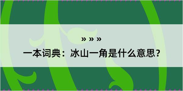 一本词典：冰山一角是什么意思？