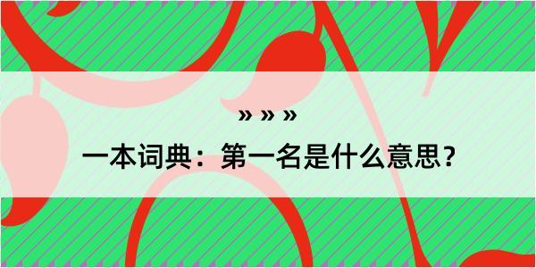 一本词典：第一名是什么意思？