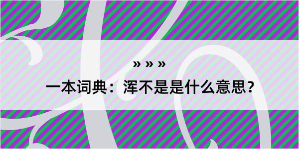 一本词典：浑不是是什么意思？