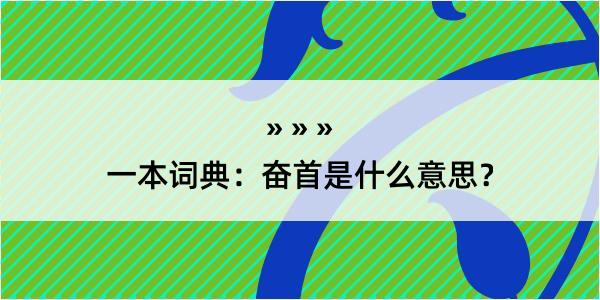 一本词典：奋首是什么意思？