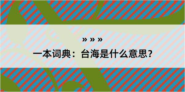 一本词典：台海是什么意思？