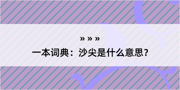 一本词典：沙尖是什么意思？