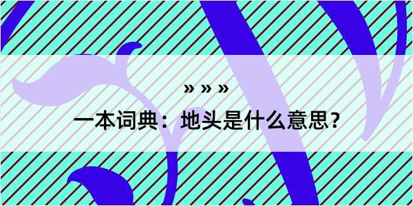 一本词典：地头是什么意思？