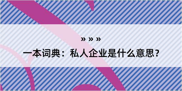 一本词典：私人企业是什么意思？