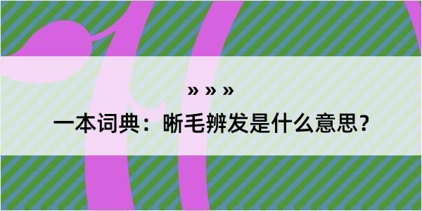 一本词典：晰毛辨发是什么意思？