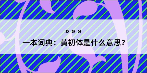 一本词典：黄初体是什么意思？