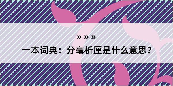 一本词典：分毫析厘是什么意思？