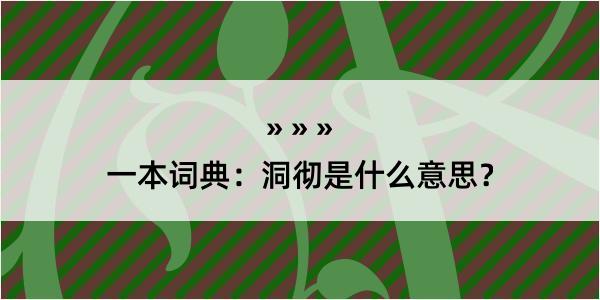 一本词典：洞彻是什么意思？