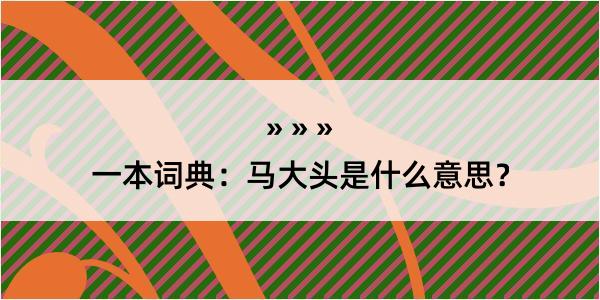 一本词典：马大头是什么意思？