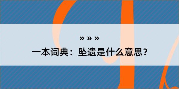 一本词典：坠遗是什么意思？