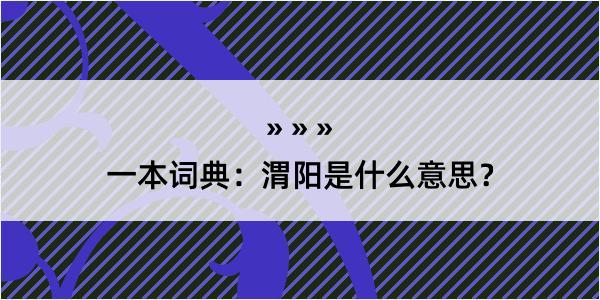 一本词典：渭阳是什么意思？