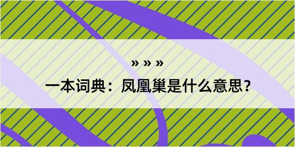 一本词典：凤凰巢是什么意思？