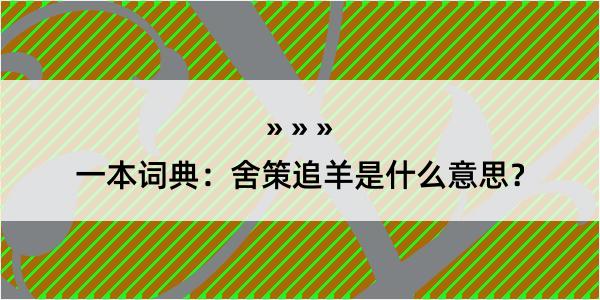 一本词典：舍策追羊是什么意思？