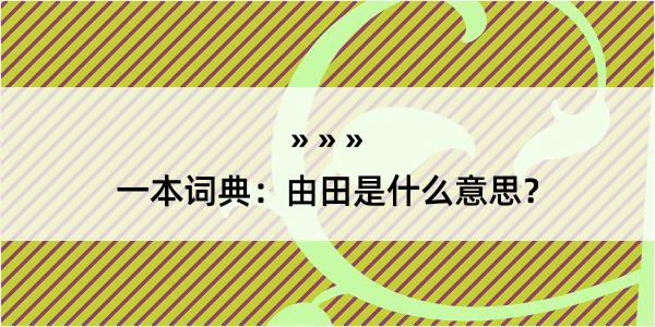 一本词典：由田是什么意思？