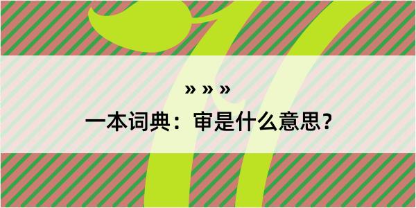 一本词典：审是什么意思？