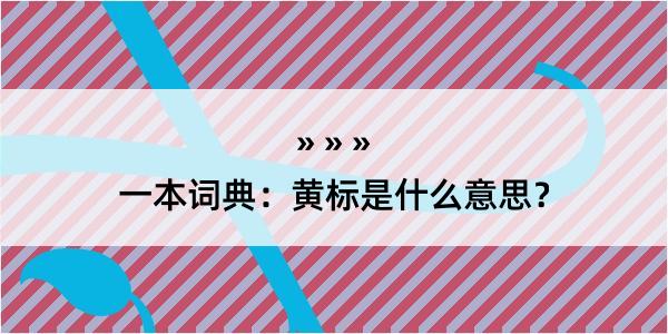 一本词典：黄标是什么意思？