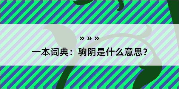 一本词典：驹阴是什么意思？