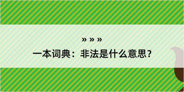 一本词典：非法是什么意思？