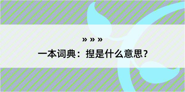 一本词典：揑是什么意思？