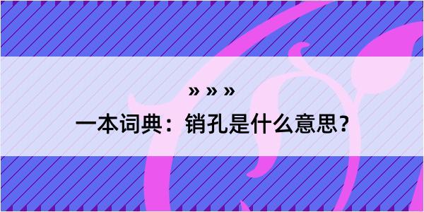 一本词典：销孔是什么意思？