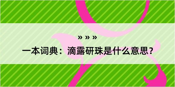 一本词典：滴露研珠是什么意思？