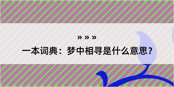 一本词典：梦中相寻是什么意思？