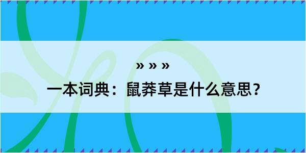 一本词典：鼠莽草是什么意思？