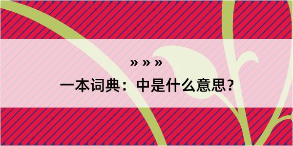 一本词典：中是什么意思？