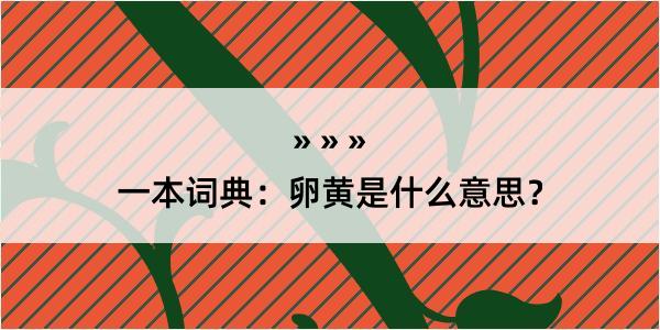 一本词典：卵黄是什么意思？