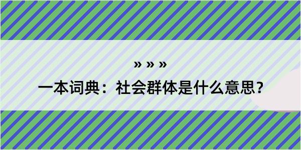 一本词典：社会群体是什么意思？