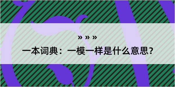 一本词典：一模一样是什么意思？