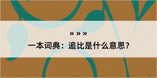 一本词典：追比是什么意思？