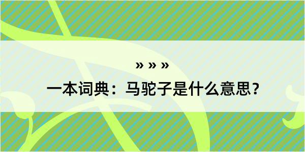 一本词典：马驼子是什么意思？