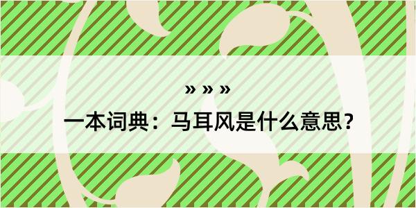 一本词典：马耳风是什么意思？