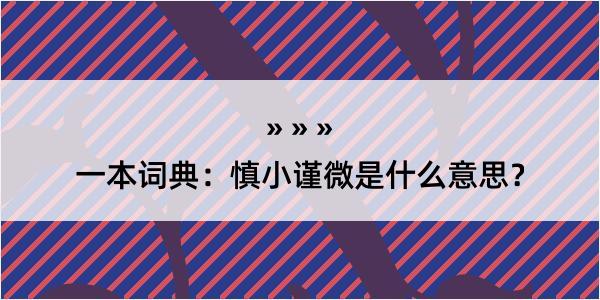 一本词典：慎小谨微是什么意思？