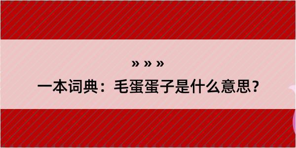 一本词典：毛蛋蛋子是什么意思？