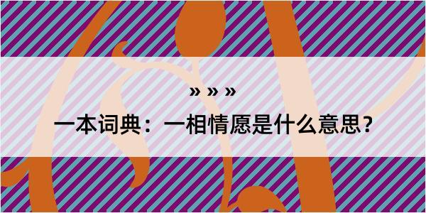 一本词典：一相情愿是什么意思？